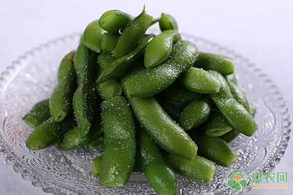 毛豆和土豆的营养价值
